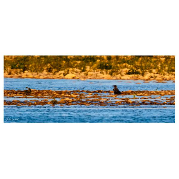 PHOTO84, CLUB, 84 , LUBERON